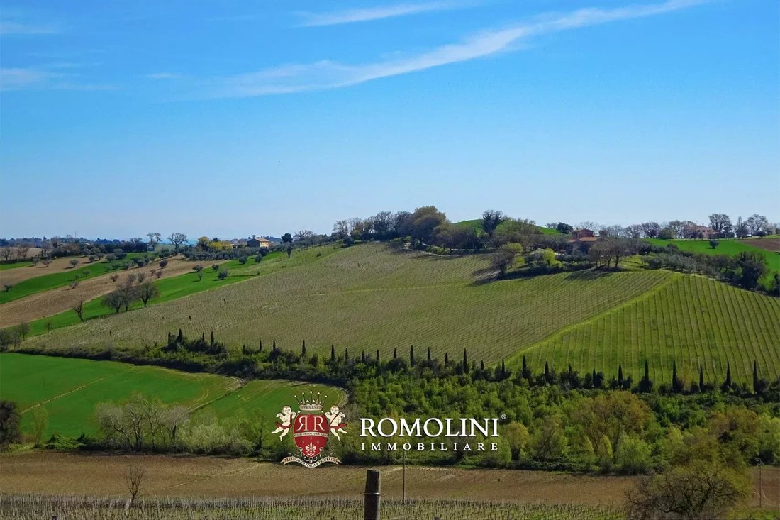 Farm Ranch in Morro d'Alba, Marche, Italy 4 - 18283130