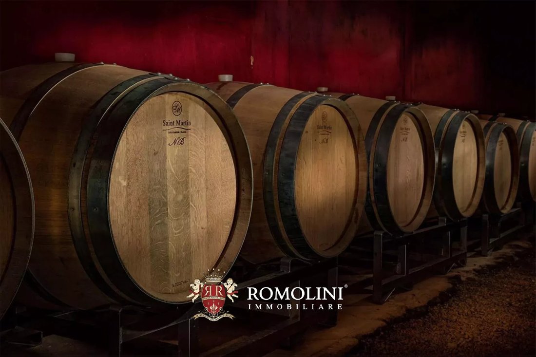 Farm Ranch in Barolo, Piedmont, Piedmont, Italy 4 - 16249472