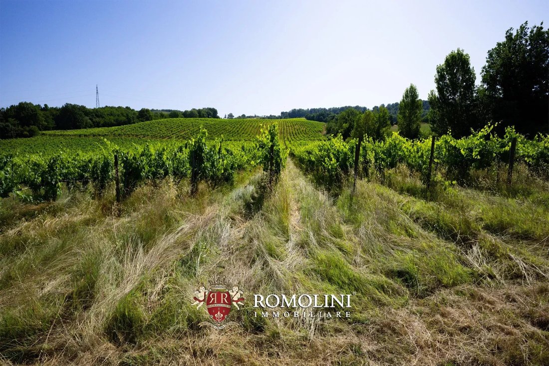 Farm Ranch in Umbertide, Umbria, Italy 4 - 16079805