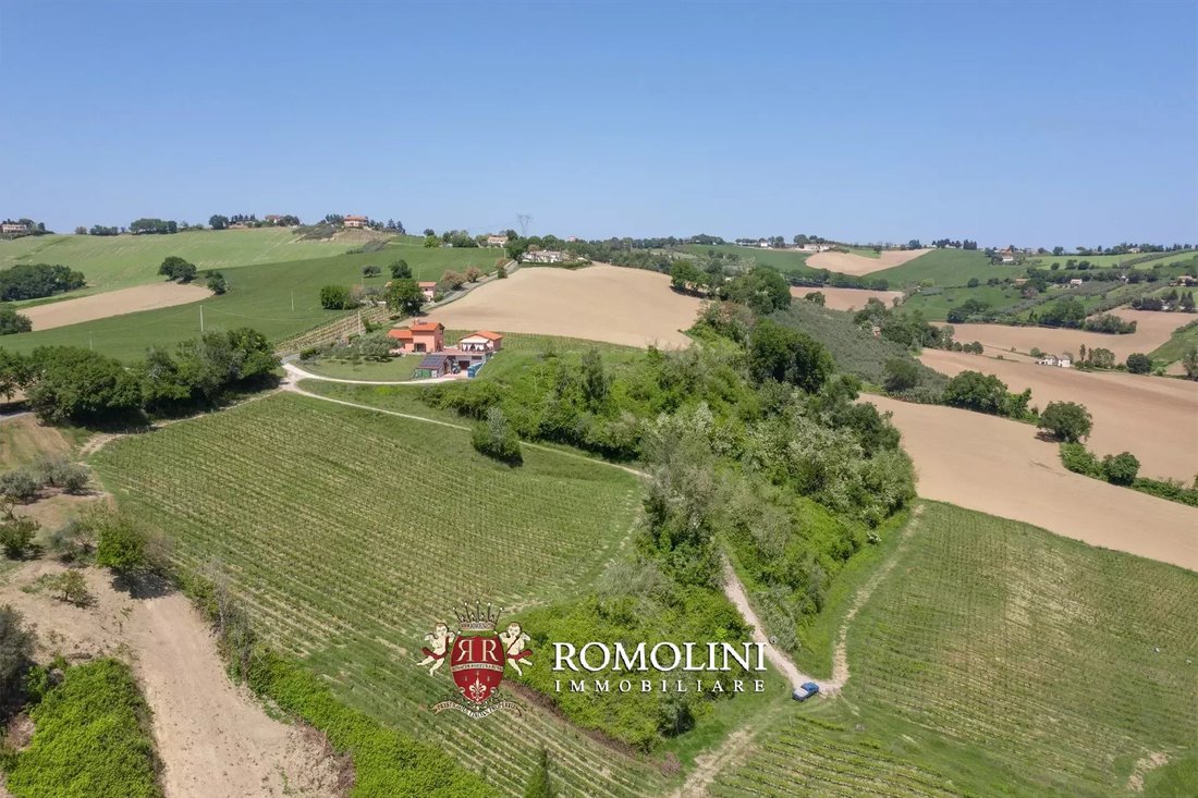 Farm Ranch in Historic Center, Senigallia, Marche 4 - 17727068