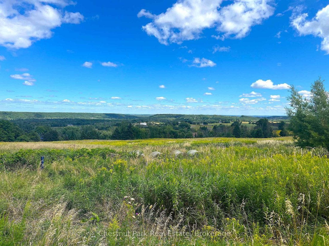 Land in Mansfield, Ontario, Canada 5 - 18070636