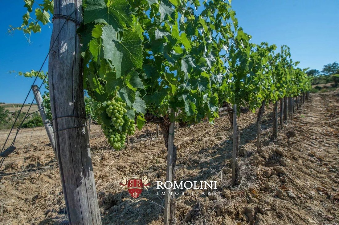 Farm Ranch in Center, Grosseto, Tuscany 2 - 15663524