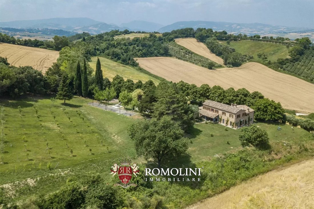 Villa in Terre Roveresche, Marche, Italy 5 - 15984094