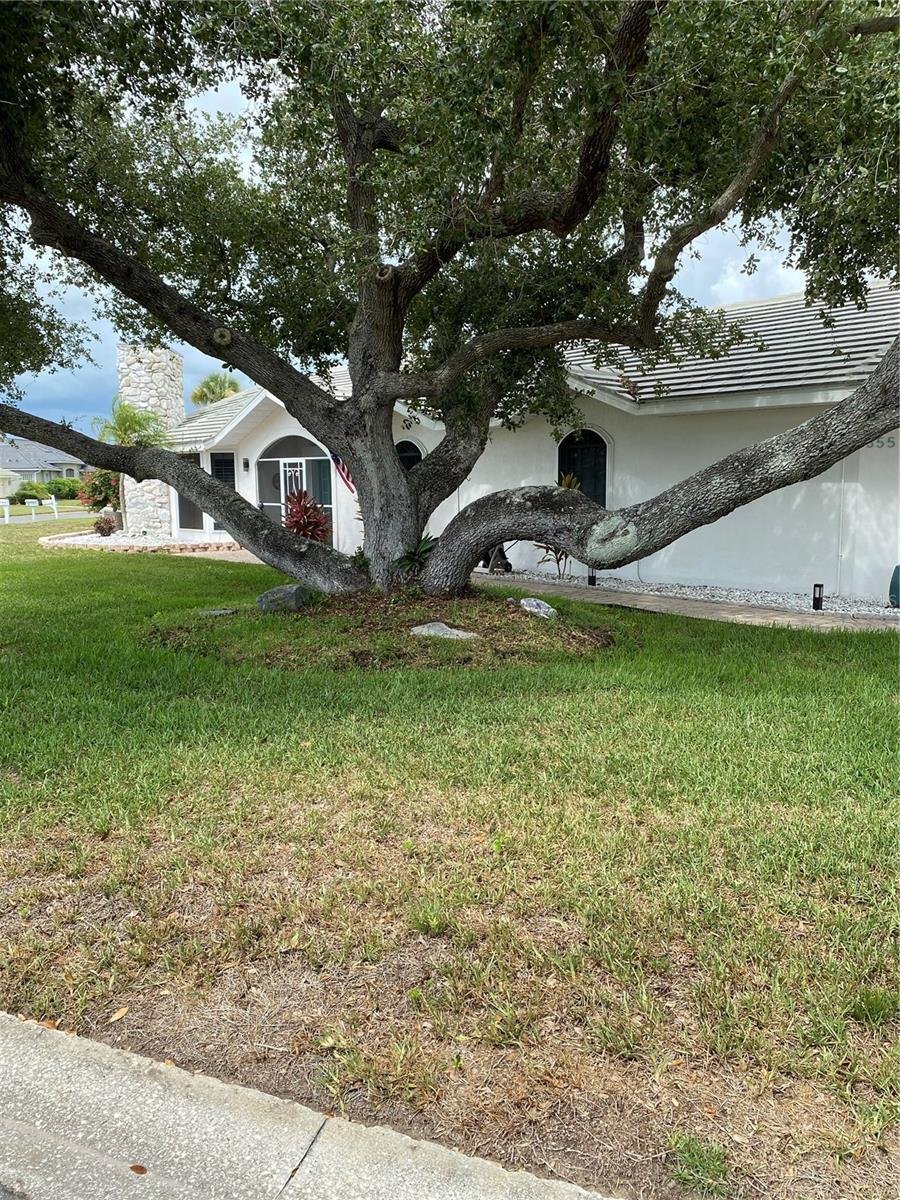 House in Englewood, Florida, United States 3 - 18281011