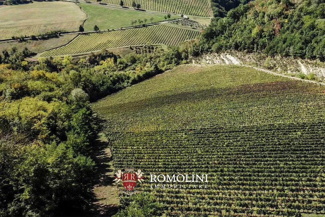 Farm Ranch in Modigliana, Emilia-Romagna, Italy 4 - 15663189