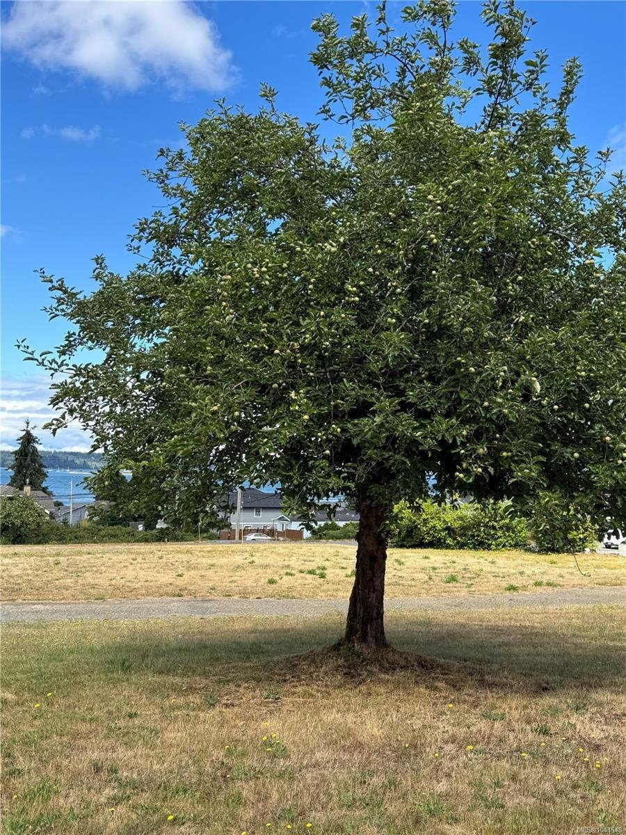 Land in Royston, British Columbia, Canada 4 - 18293990
