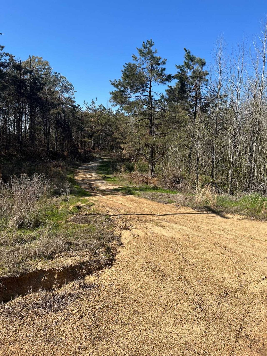 Land in Carrollton, Mississippi, United States 3 - 18280396