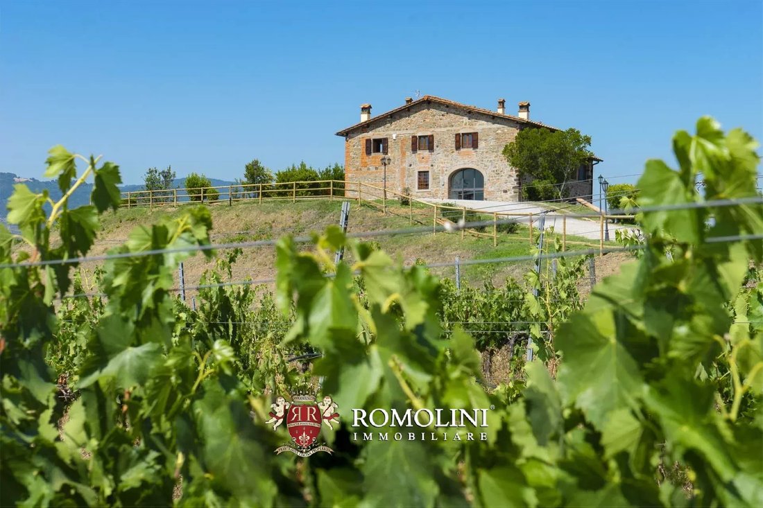 Farm Ranch in Pestello-Ginestra, Montevarchi, Tuscany 2 - 15663396