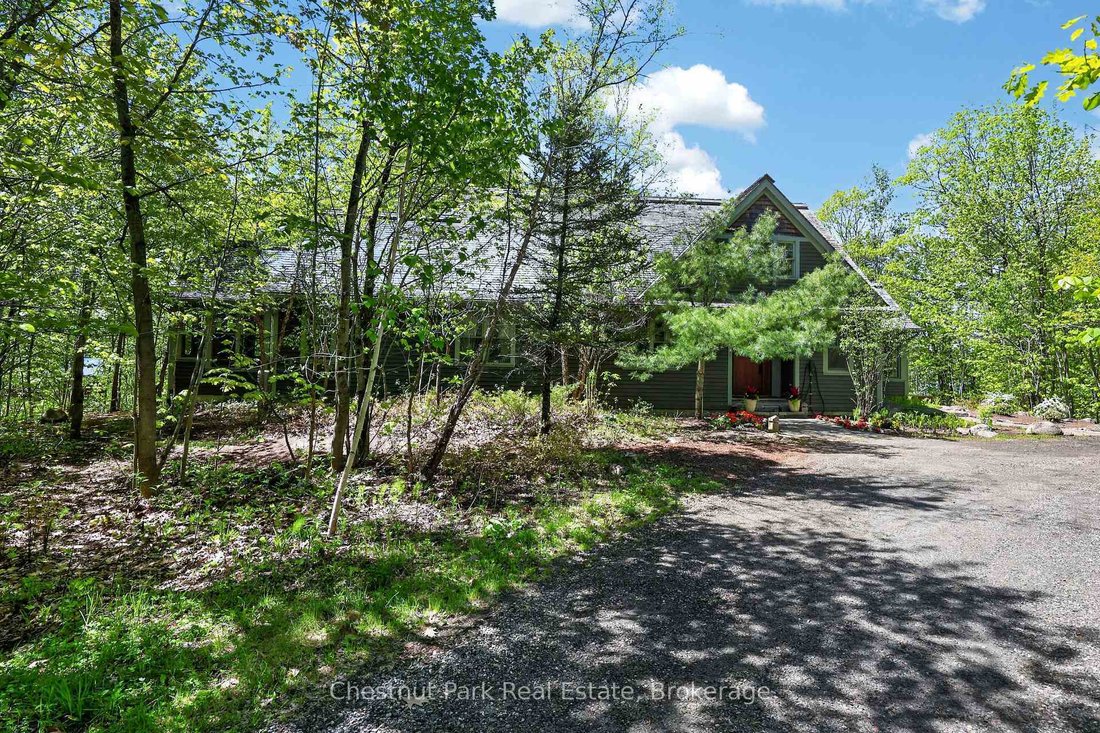 Muskoka Lakes, Ontario, Canada 1 - 18163762