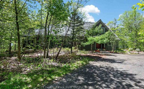 Muskoka Lakes, Ontario, Canada 1