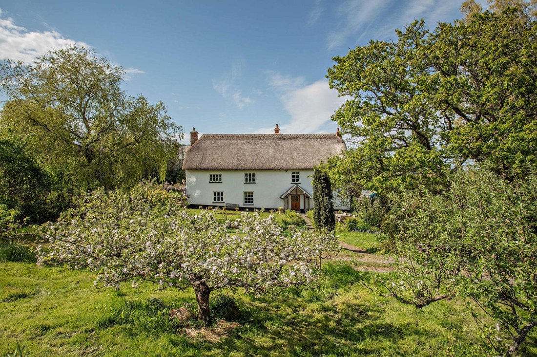 House in Bridford, England 3 - 17444432