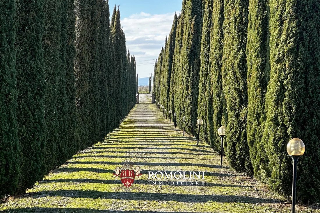 Farm Ranch in Montalcino, Tuscany, Italy 5 - 17348837