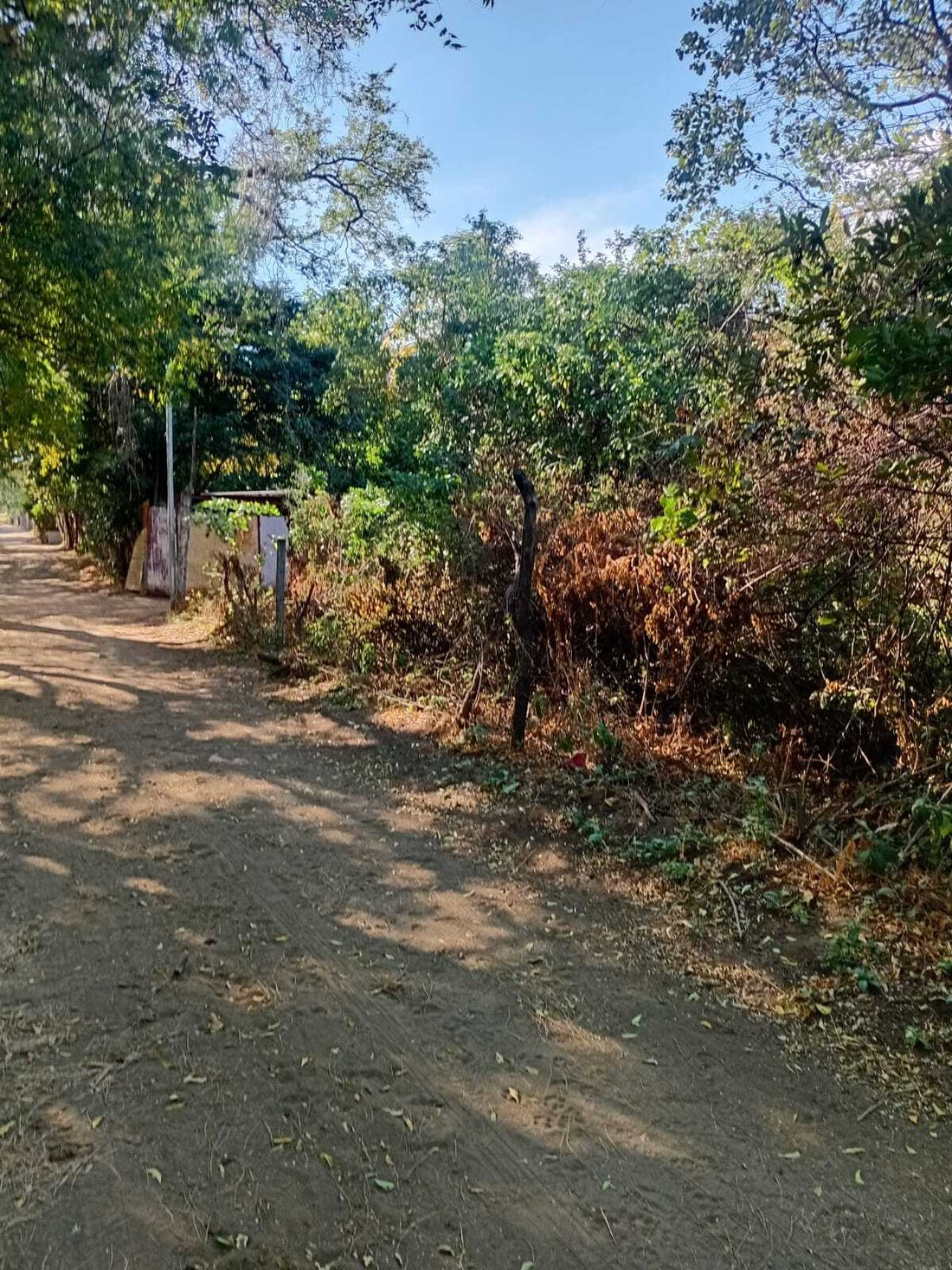 Terrain à Managua, Département de Managua, Nicaragua 5 - 18286192
