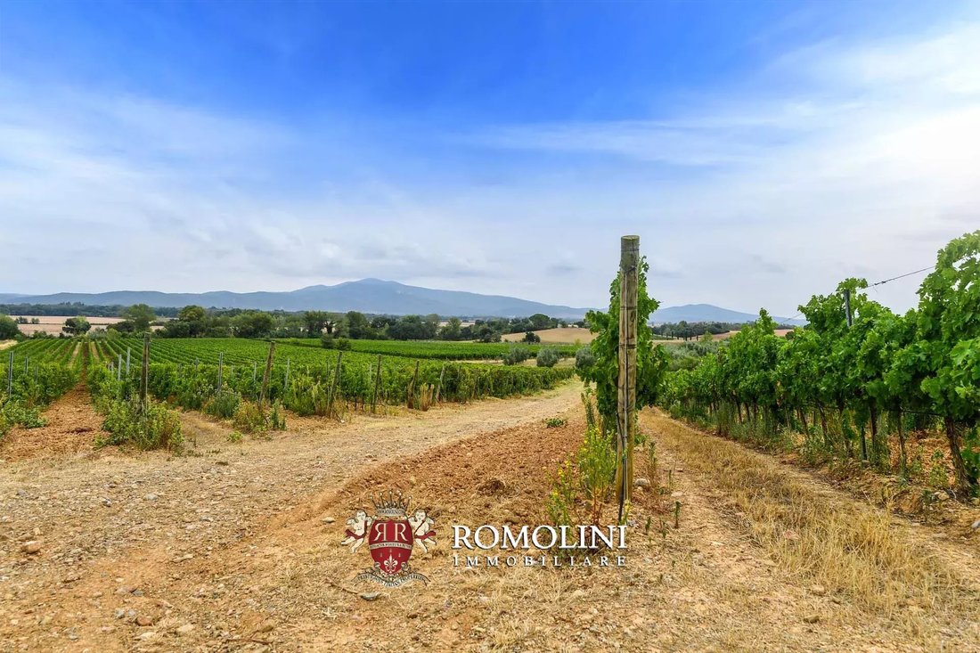 Farm Ranch in Roccastrada, Tuscany, Italy 5 - 15663274