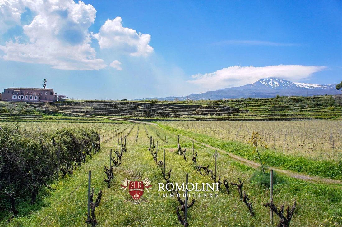 Farm Ranch in Piedimonte Etneo, Sicily, Italy 1 - 17429850