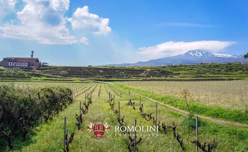 Azienda agricola a Piedimonte Etneo, Sicilia, Italia 1