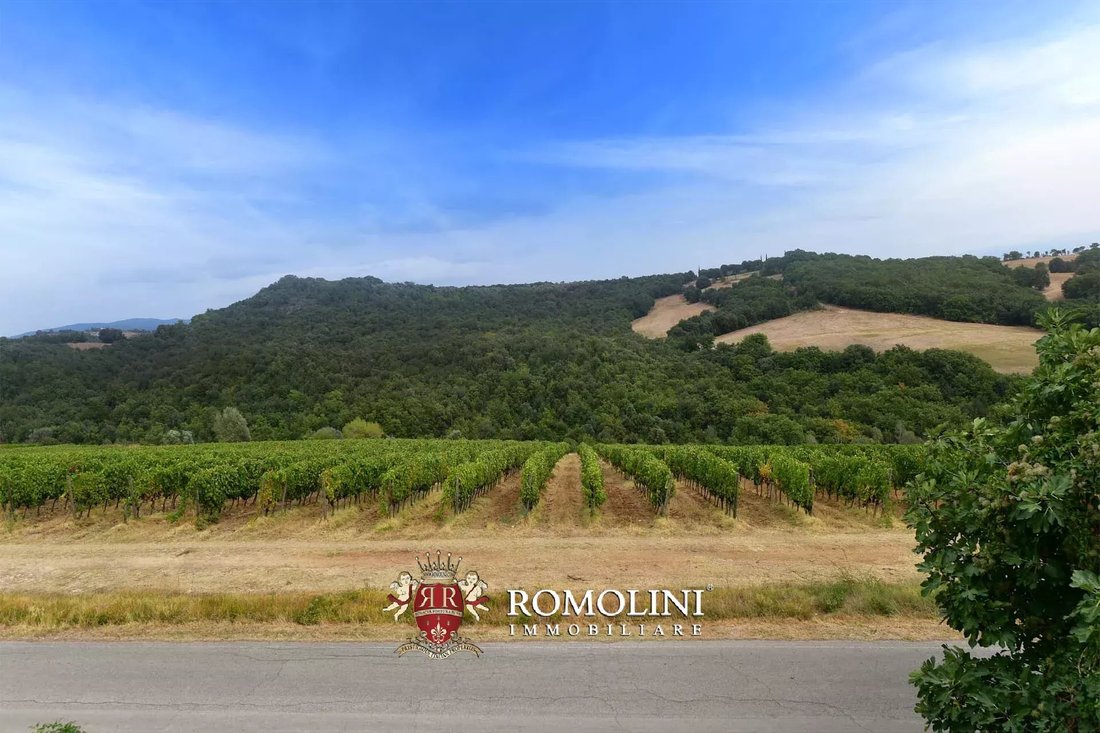 Farm Ranch in Civitella Marittima, Tuscany, Italy 3 - 15663275