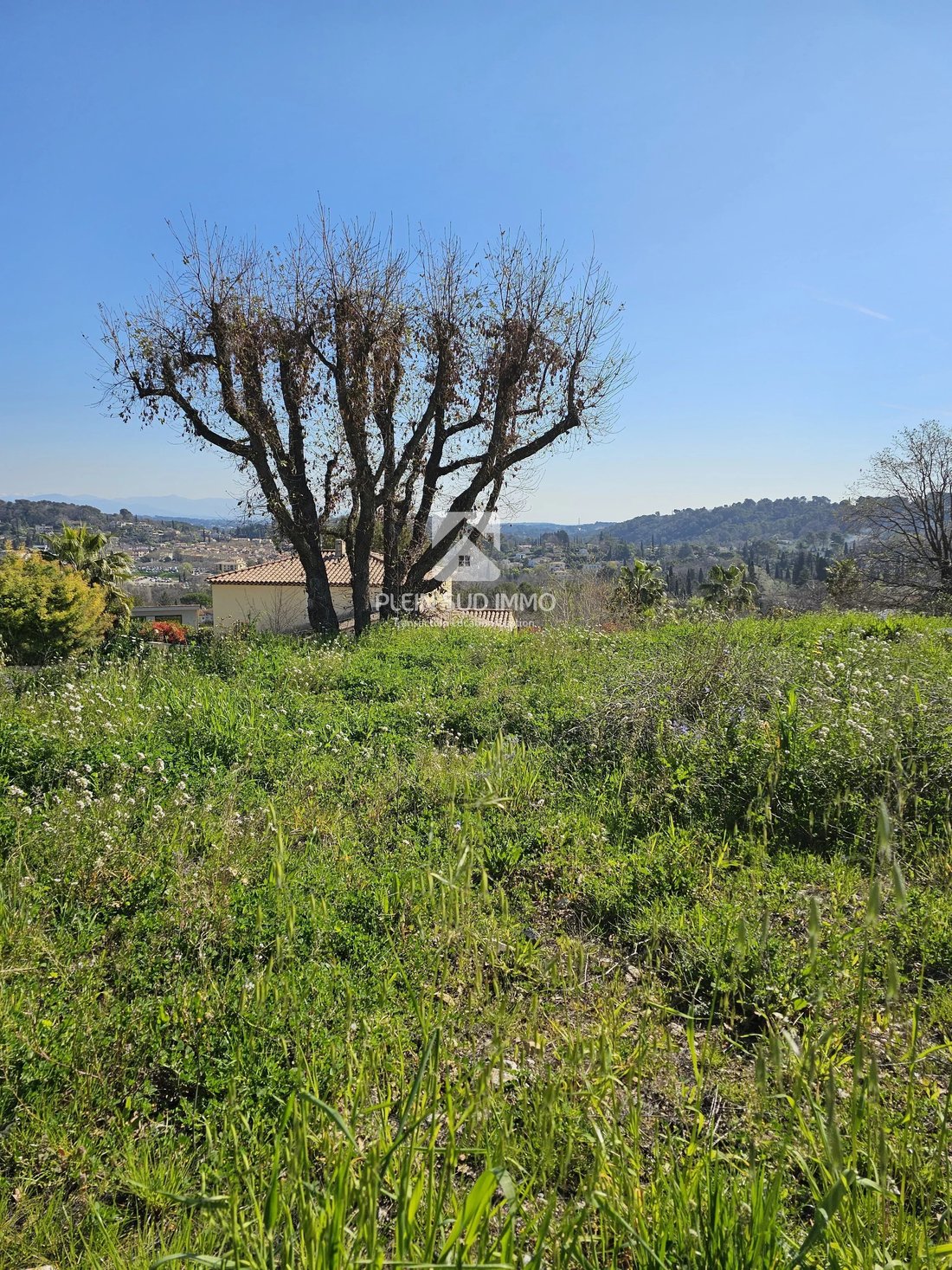 Land in Valbonne, Provence-Alpes-Côte d'Azur, France 3 - 18292471