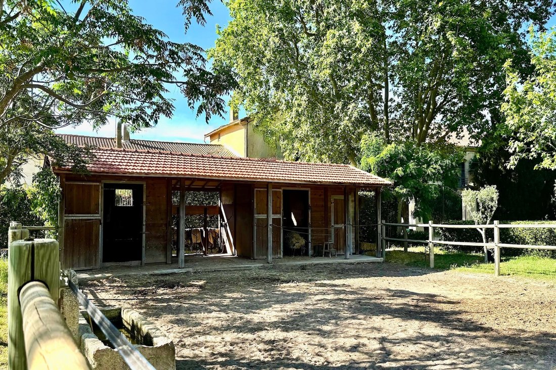 House in Peripherie, Aigues-Mortes, France 4 - 18286564