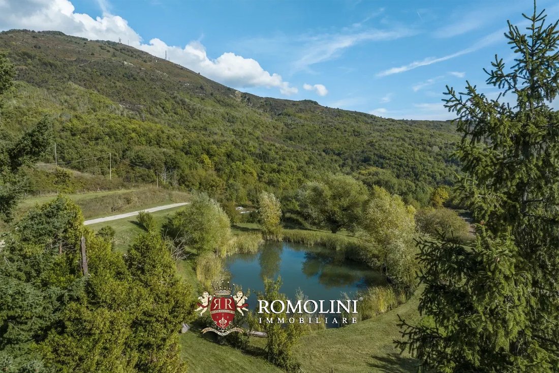 Estate in Borgo a Cascia, Reggello, Tuscany 3 - 17389260
