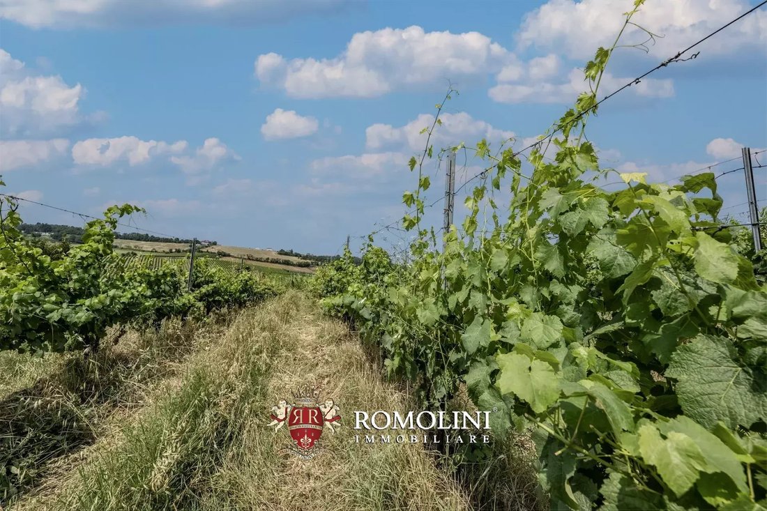 Farm Ranch in Bertinoro, Emilia-Romagna, Italy 2 - 15976637