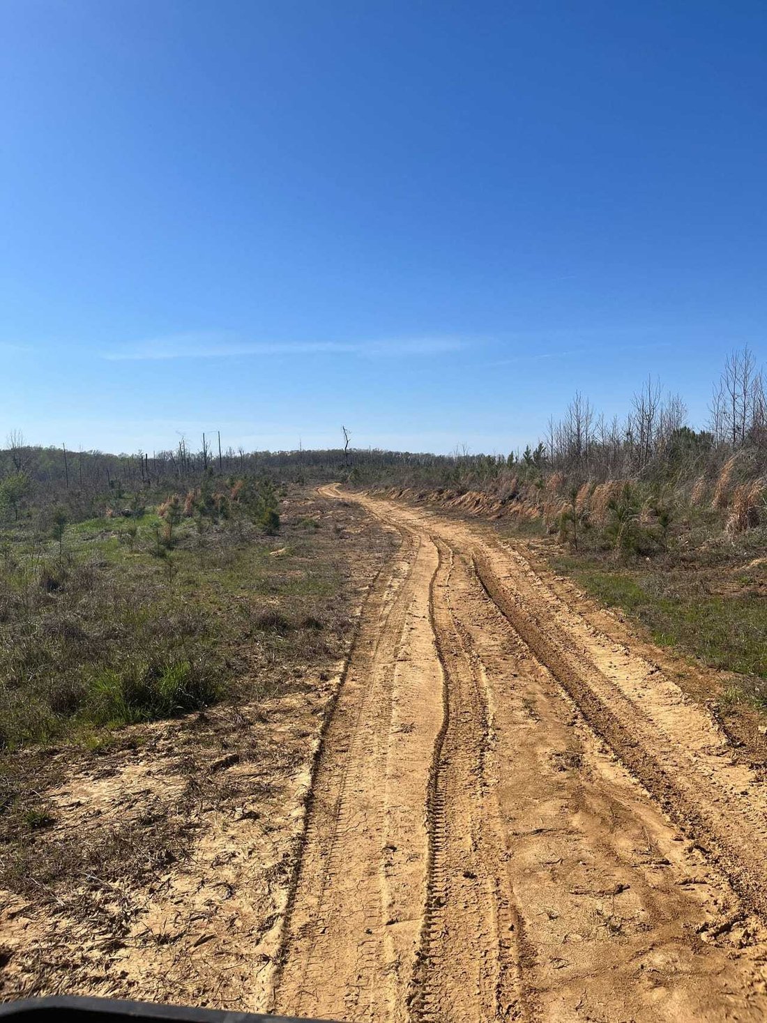 Land in Carrollton, Mississippi, United States 5 - 18280396