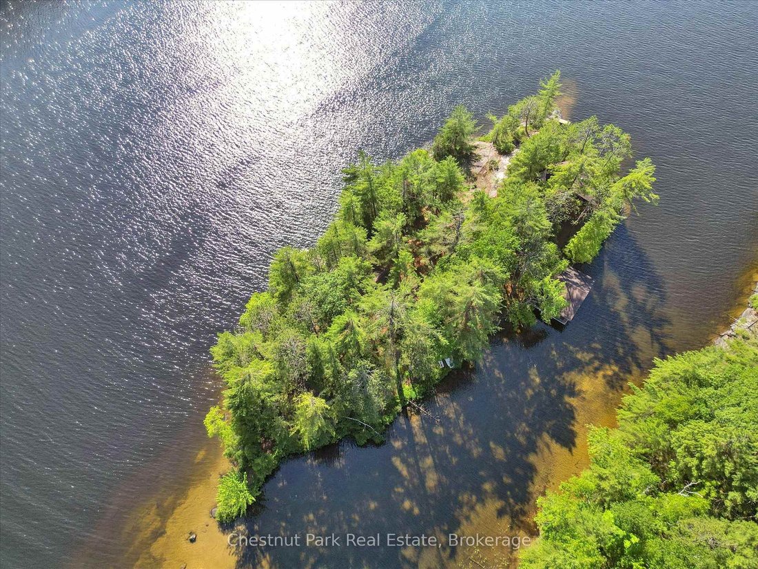 House in Gravenhurst, Ontario, Canada 4 - 18220871