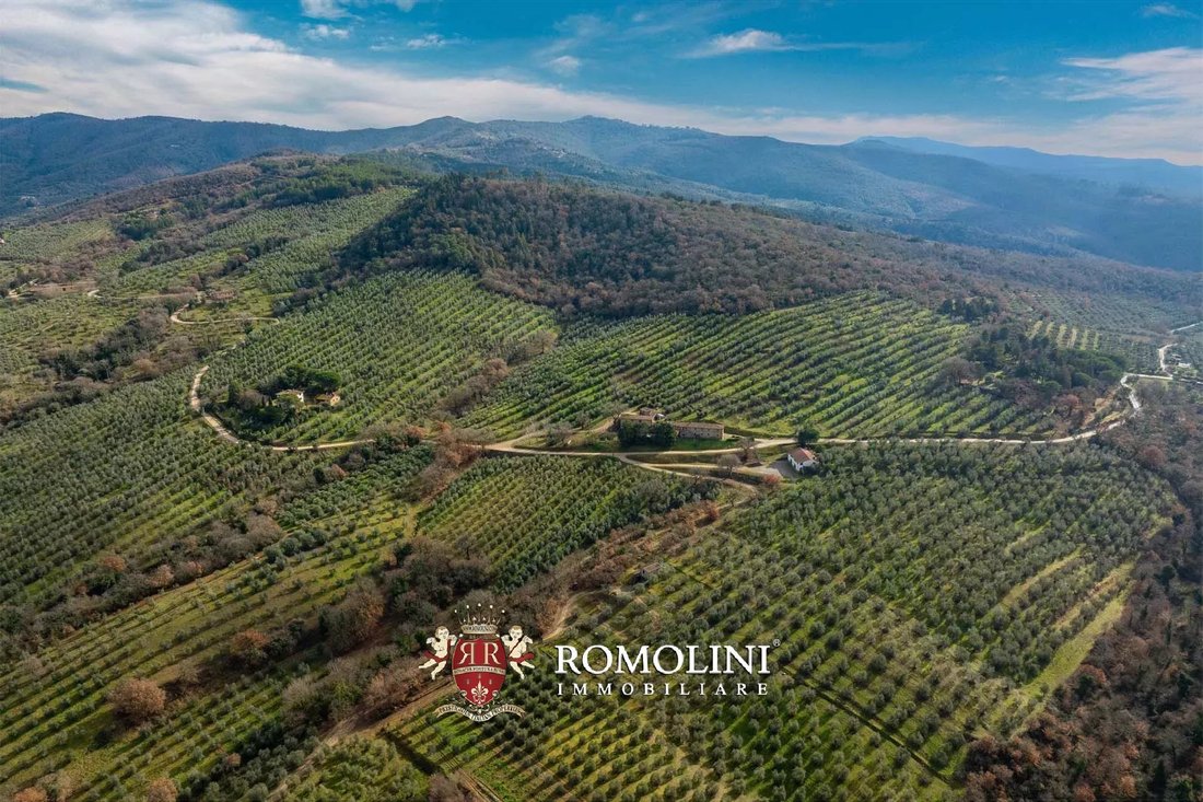 Estate in Piegaro, Umbria, Italy 1 - 17408778