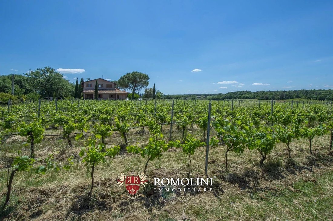 Farm Ranch in Castiglione del Lago, Umbria, Italy 4 - 15663278