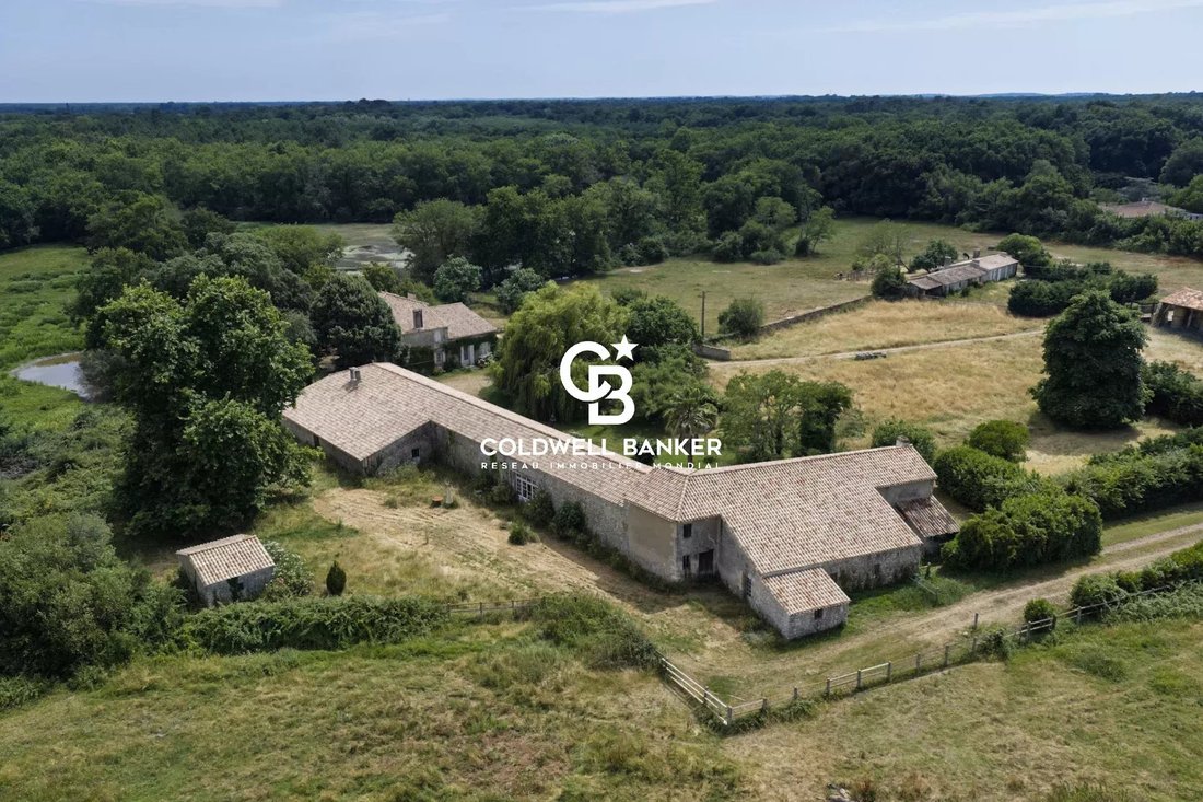 House in Vensac, Nouvelle-Aquitaine, France 4 - 17647025