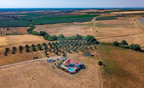 Finca a Ferreira do Alentejo e Canhestros, Distretto di Beja, Portogallo 1