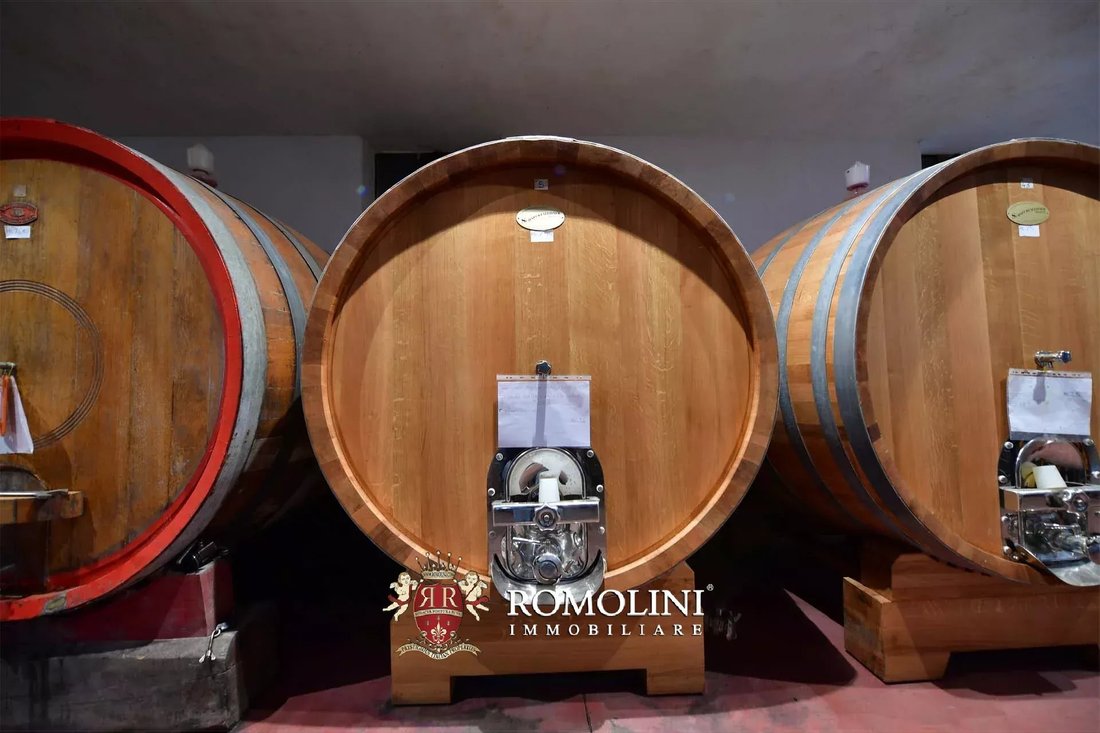 Farm Ranch in Barolo, Piedmont, Piedmont, Italy 3 - 16249472