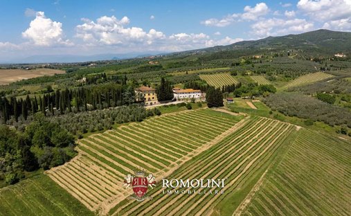 Azienda agricola a Sant'Ansano - Vitolini, Vinci, Toscana 1