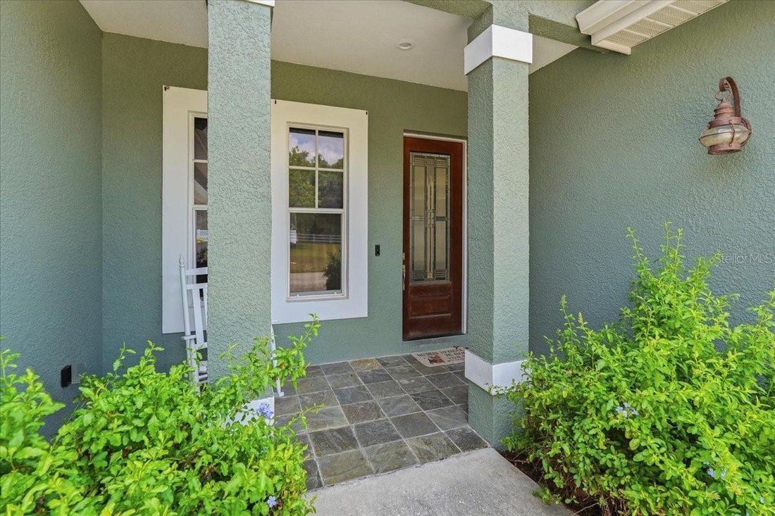 House in Odessa, Florida, United States 5 - 18281005
