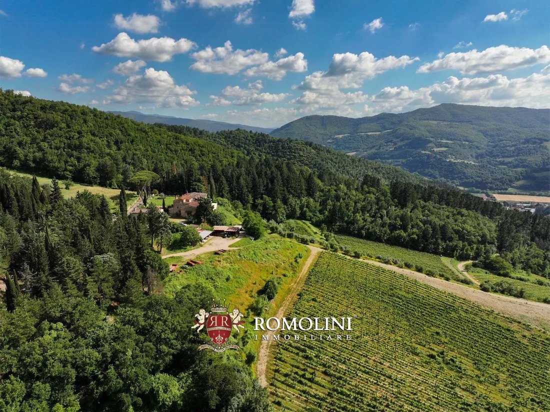 Estate in Dicomano, Tuscany, Italy 3 - 16474604