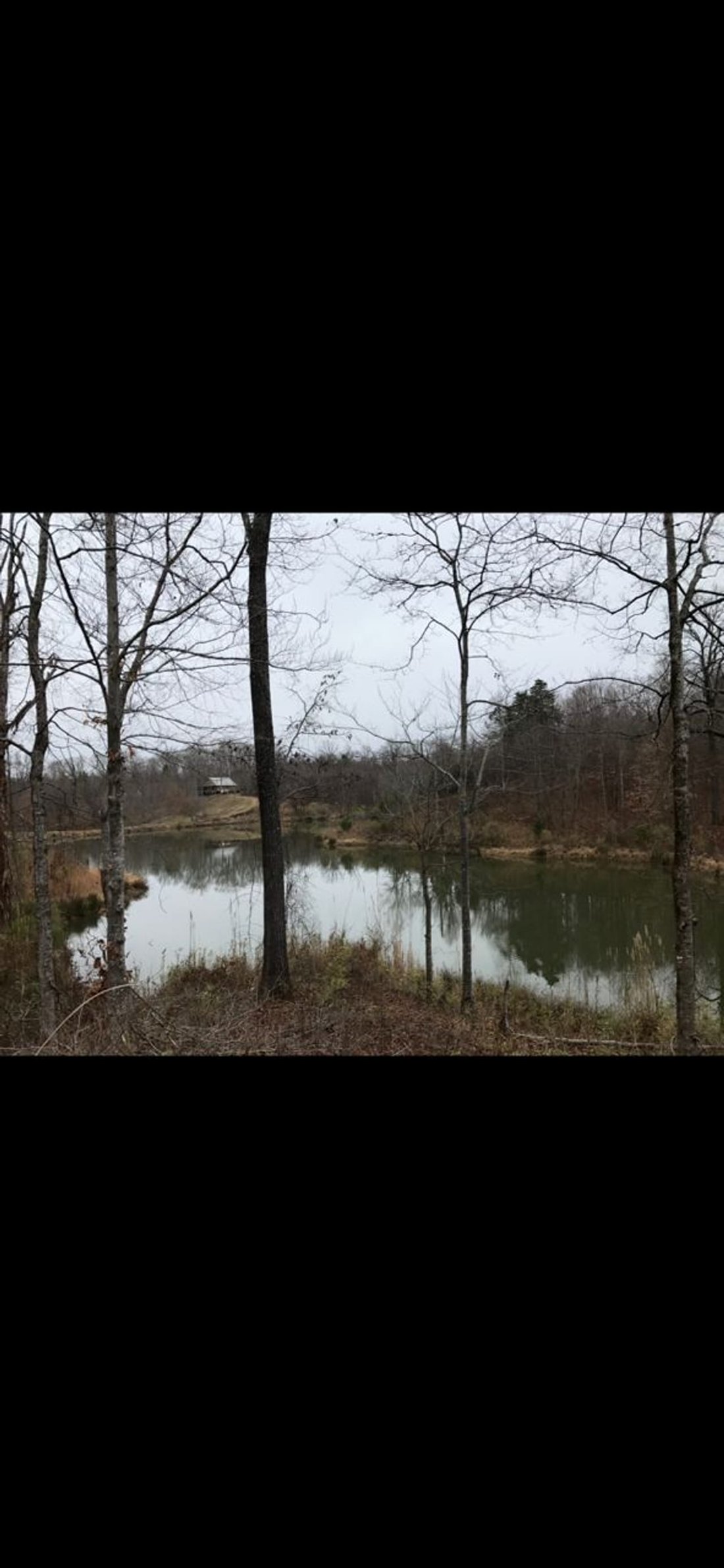 Land in Lexington, Mississippi, United States 4 - 18280398