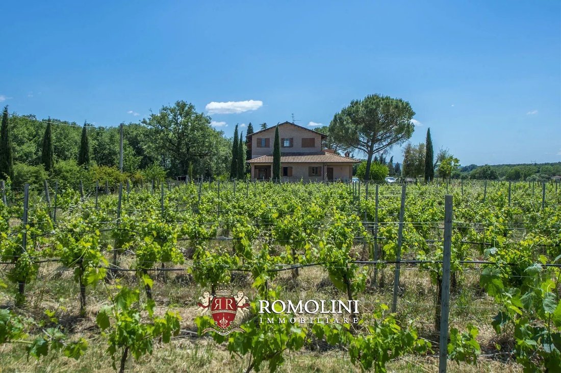 Farm Ranch in Castiglione del Lago, Umbria, Italy 3 - 15663278