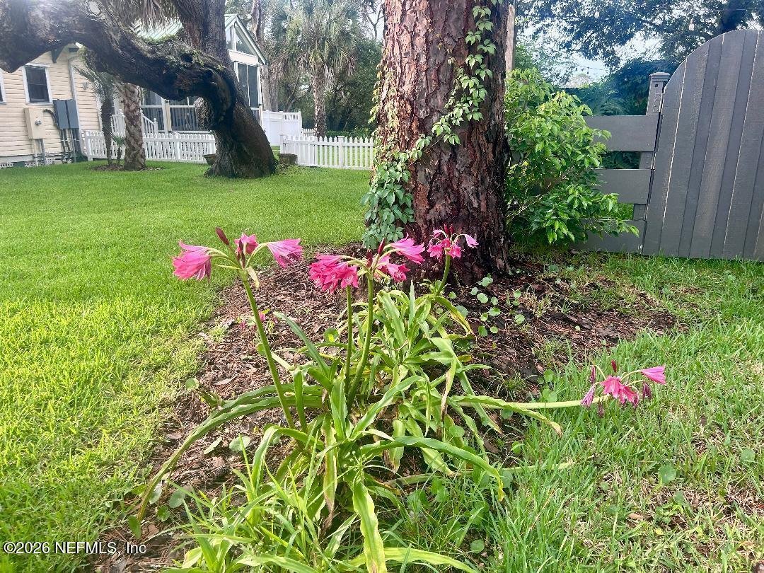 House in St. Augustine, Florida, United States 3 - 18263457