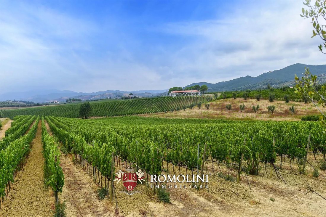 Farm Ranch in Roccastrada, Tuscany, Italy 1 - 15663274