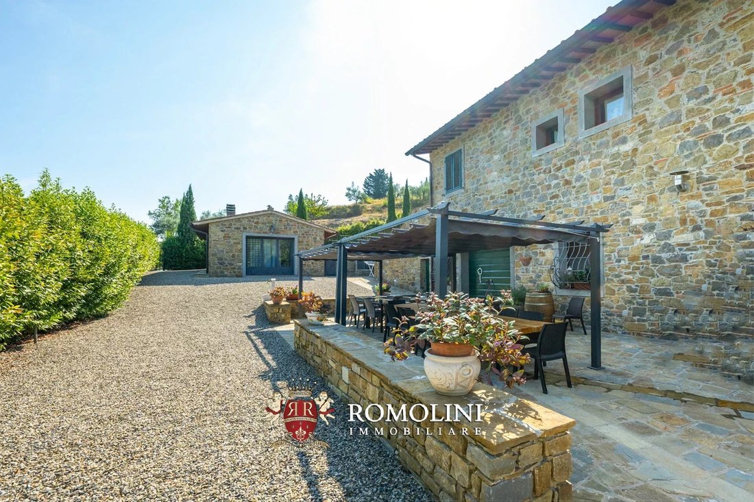 Farm Ranch in Center, Greve in Chianti, Tuscany 3 - 15663538