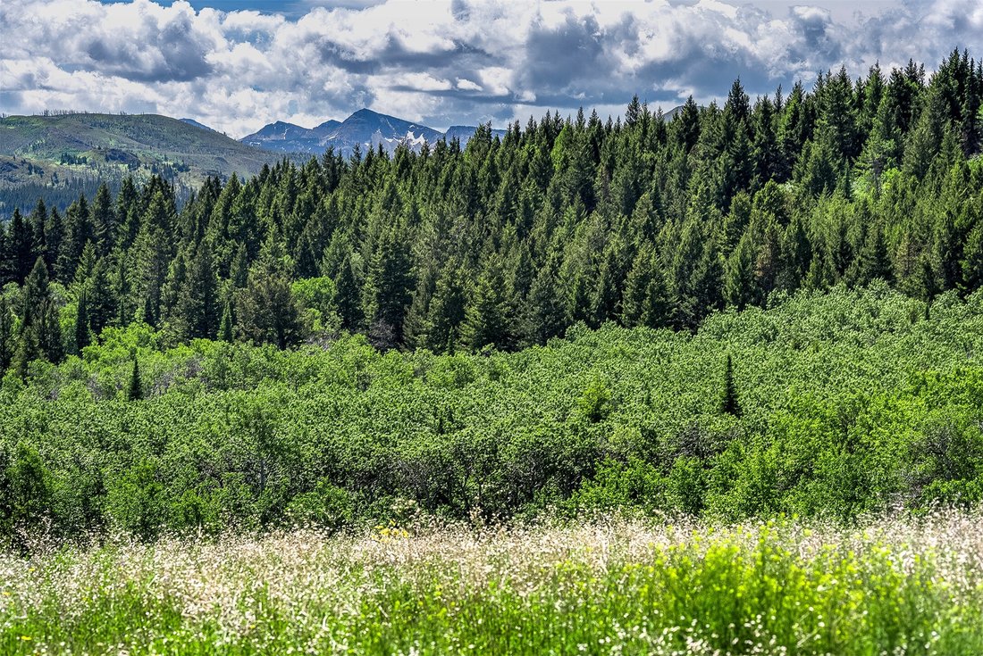 Land in East Glacier Park, Montana, United States 3 - 18289200