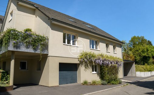 House in Buschwiller, Grand Est, France 1