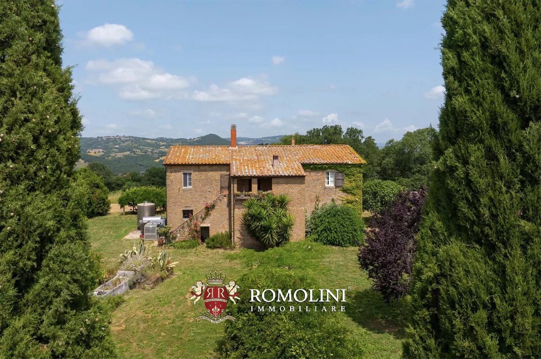 Domaine à Pitigliano, Toscane, Italie 4 - 16164738