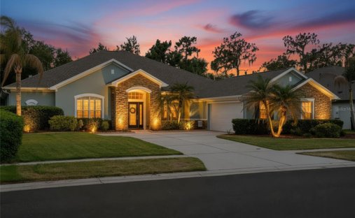 House in Riverview, Florida, United States 1