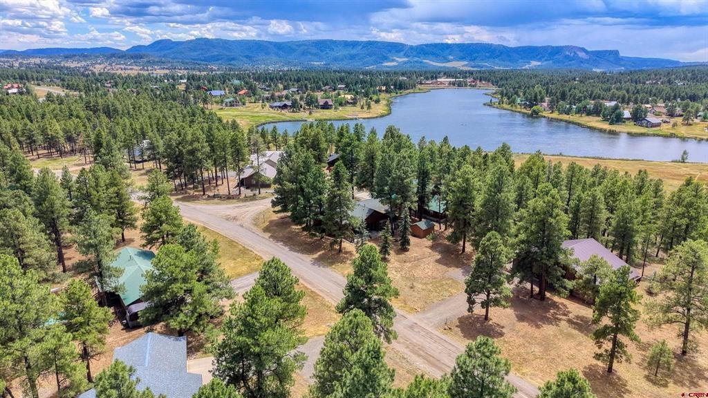 House in Pagosa Springs, Colorado, United States 2 - 18295875