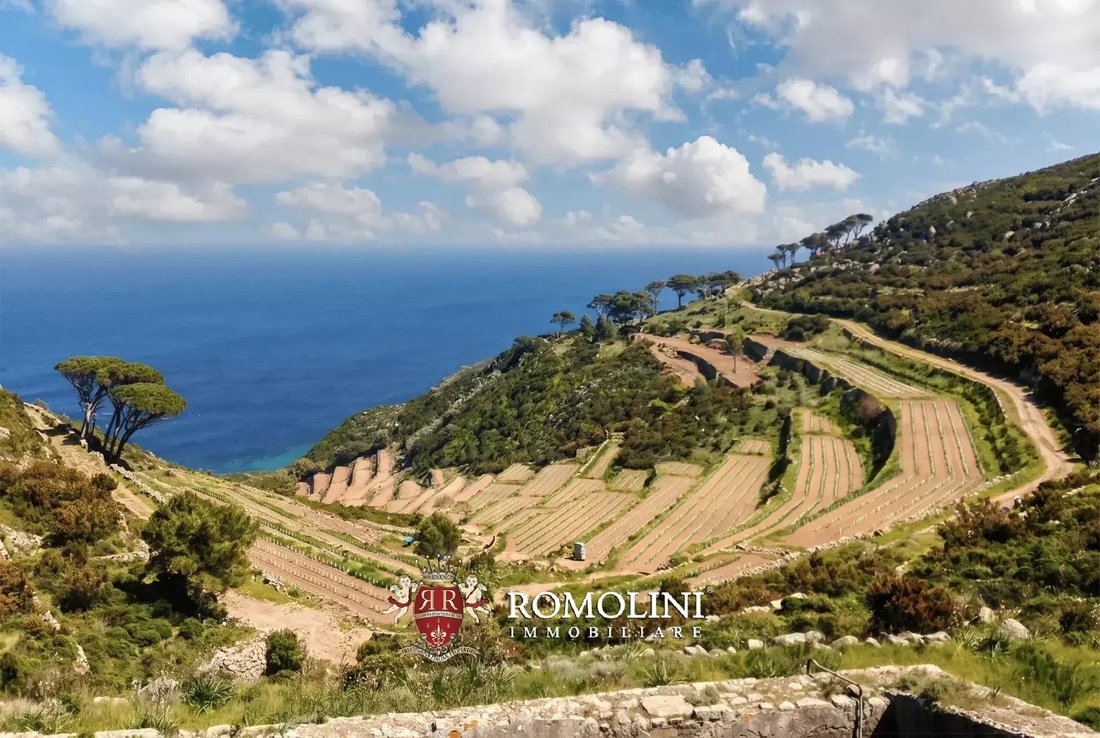 Farm Ranch in Capraia Island, Tuscany, Italy 2 - 17852922