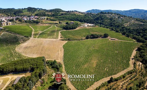 Tenuta a Nicastro, Lamezia Terme, Calabria 1