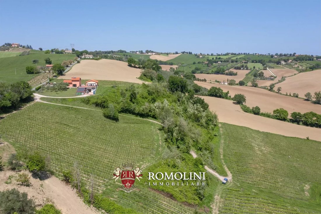 Farm Ranch in Historic Center, Senigallia, Marche 3 - 17727068