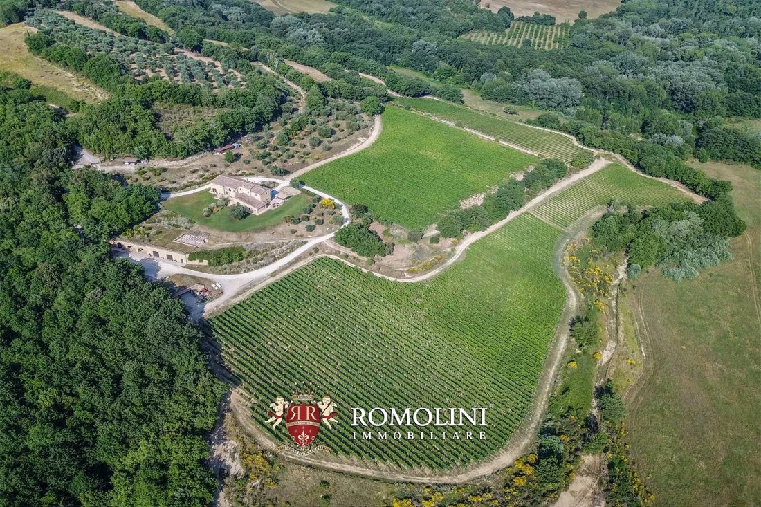 Farm Ranch in Trequanda, Tuscany, Italy 1 - 15663383