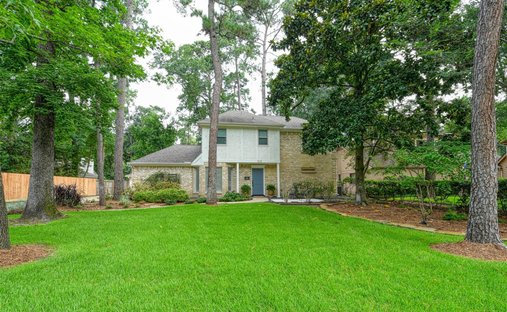 House in Spring, Texas, United States 1